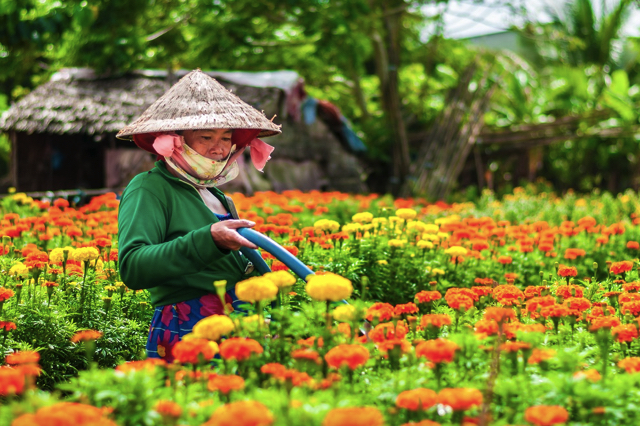 Hoa ở đây khoe sắc quanh năm với mỗi mùa là những sắc màu riêng