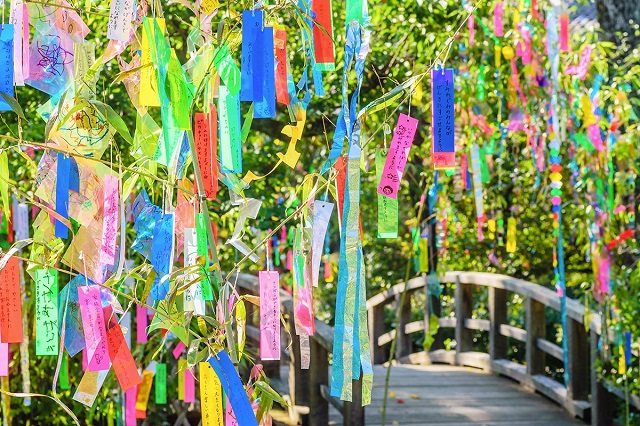 Các dải giấy cầu nguyện có màu sắc đại diện cho Ngũ hành, mỗi màu mang ý nghĩa riêng
