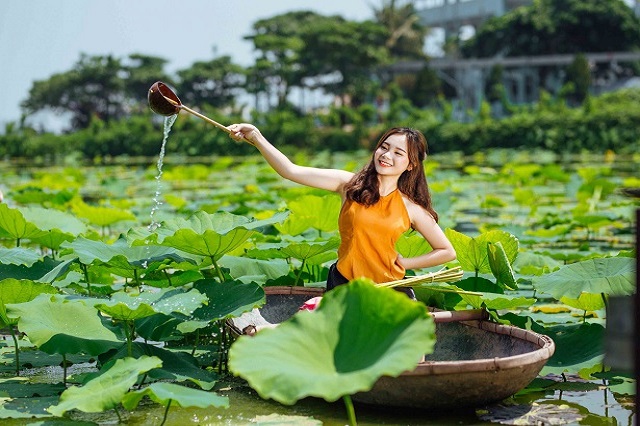 Hồ sen An Hải là nơi có cảnh quan đẹp, khung cảnh ấn tượng để bạn tham quan, tận hưởng và chụp hình đẹp