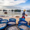 Khám phá những khu chợ mua sắm ở Phan Thiết nổi tiếng