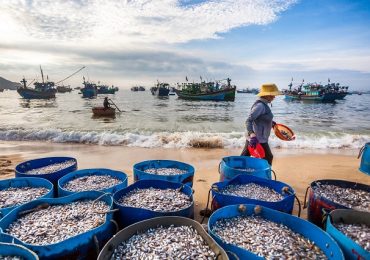 Khám phá những khu chợ mua sắm ở Phan Thiết nổi tiếng