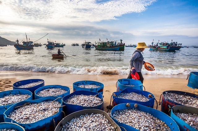 Khám phá những khu chợ mua sắm ở Phan Thiết nổi tiếng