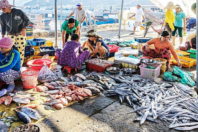 Đến đây, bạn sẽ có cơ hội mua nhiều loại hải sản tươi ngon, hấp dẫn vừa cập bến