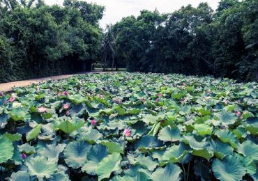 Kinh nghiệm du lịch Nghệ An tự túc, tiết kiệm chi phí
