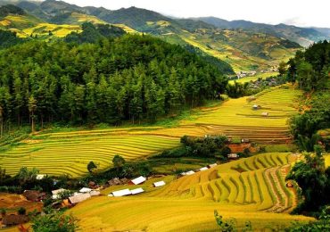 Kinh nghiệm du lịch Thanh Hóa siêu tiết kiệm