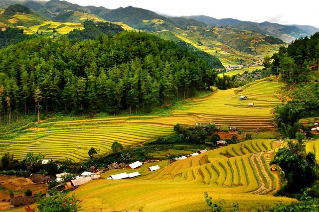 Khu bảo tồn thiên nhiên Pù Luông mang trong mình những nét hoang sơ và huyền ảo
