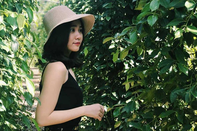 Không chỉ đơn giản là tham quan, Vườn tiêu Phú Quốc còn là nơi lý tưởng để sống ảo khi đến Phú Quốc