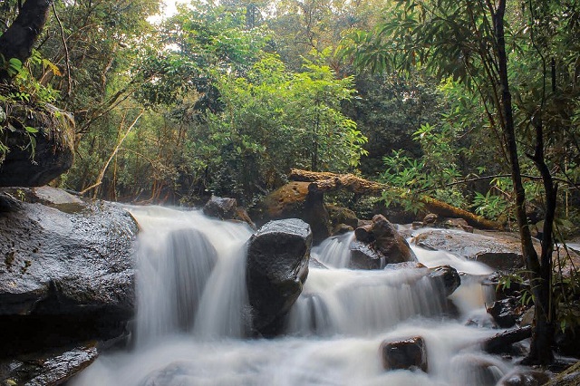Suối Đá Bàn mang vẻ đẹp hoang sơ nhưng không kém phần thơ mộng