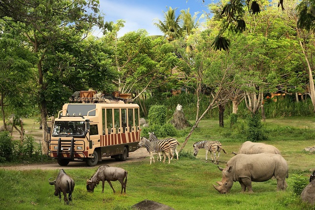 Sau khi vui chơi, nhớ đừng quên ghé qua khu vực Safari của công viên để được ngắm nhìn các loài động vật nhé!