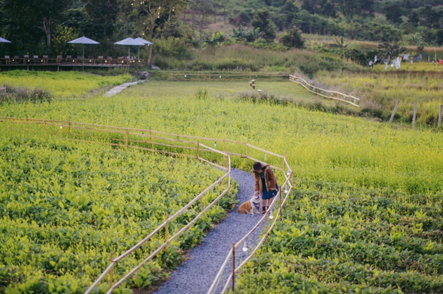 Khung cảnh miền quê nông thôn thật yên bình tại Thôn 13 Đà Lạt