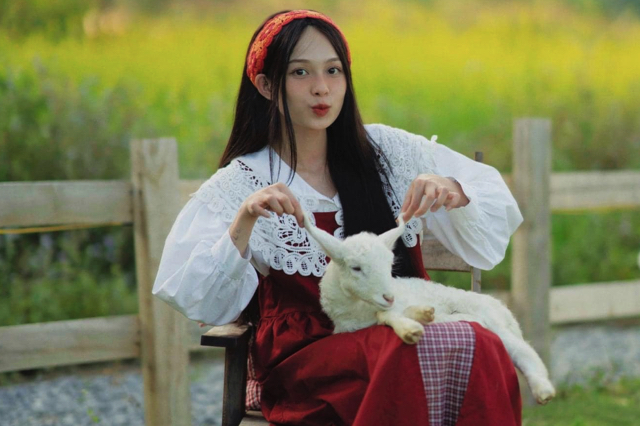 Các loài động vật ở thôn 13 siêu dễ thương và siêu thân thiện